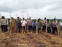 Dukung Ketahanan Pangan, CAA Grup Gelar Penanaman Jagung