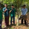 PC GP Ansor Barito Timur Serahkan Bantuan Sapi Kurban ke Pengurus Masjid Nurul Huda Desa Lagan