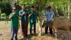 PC GP Ansor Barito Timur Serahkan Bantuan Sapi Kurban ke Pengurus Masjid Nurul Huda Desa Lagan