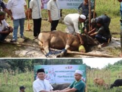 Kapolres Bartim Serahkan 13 Ekor Sapi dan 5 Ekor Kambing untuk Kurban di Polres