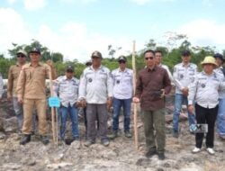 Pemkab Murung Raya Dukung Program Ketahanan Pangan, Desa Bahitom Jadi Sentra Penanaman Jagung Hibrida