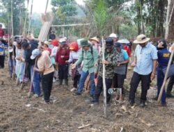 Bupati Murung Raya Ajak Petani Optimalkan Lahan Tidur Melalui Tanam Padi Gogo