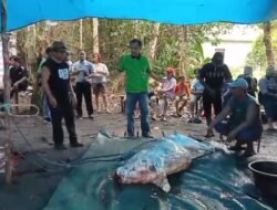 Ketua Panitia Nahur Hajat Syukuran 23 Tahun Barito Timur Sampaikan Syukur dan Terima Kasih