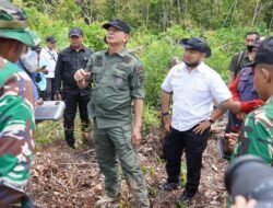 Pemkab Bartim Matangkan Program Cetak Sawah, Bupati dan Wabup Tinjau Lokasi