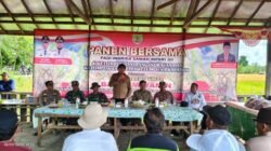 Panen Raya di Kalamus, Bupati Yamin Tekankan Pengelolaan Alsintan
