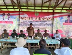 Panen Raya di Kalamus, Bupati Yamin Tekankan Pengelolaan Alsintan