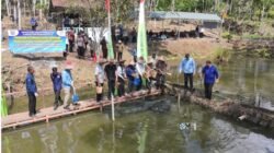 Bupati Heriyus Hadiri Panen Raya Ikan Nila Pokdakan Pakat Sasama, Dorong Pengembangan Budidaya Perikanan di Mura