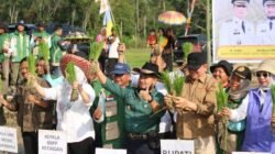 Barito Timur Percepat Swasembada Pangan Lewat Gerakan Tanam Padi Bersama