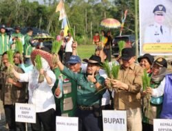 Barito Timur Percepat Swasembada Pangan Lewat Gerakan Tanam Padi Bersama
